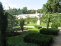 Dans le parc de Sanssouci