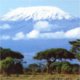 Les neiges du Kilimanjaro