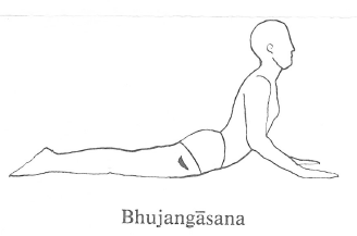 yoga2.png