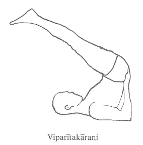 yoga3.png