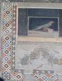 Mosaique au perroquet